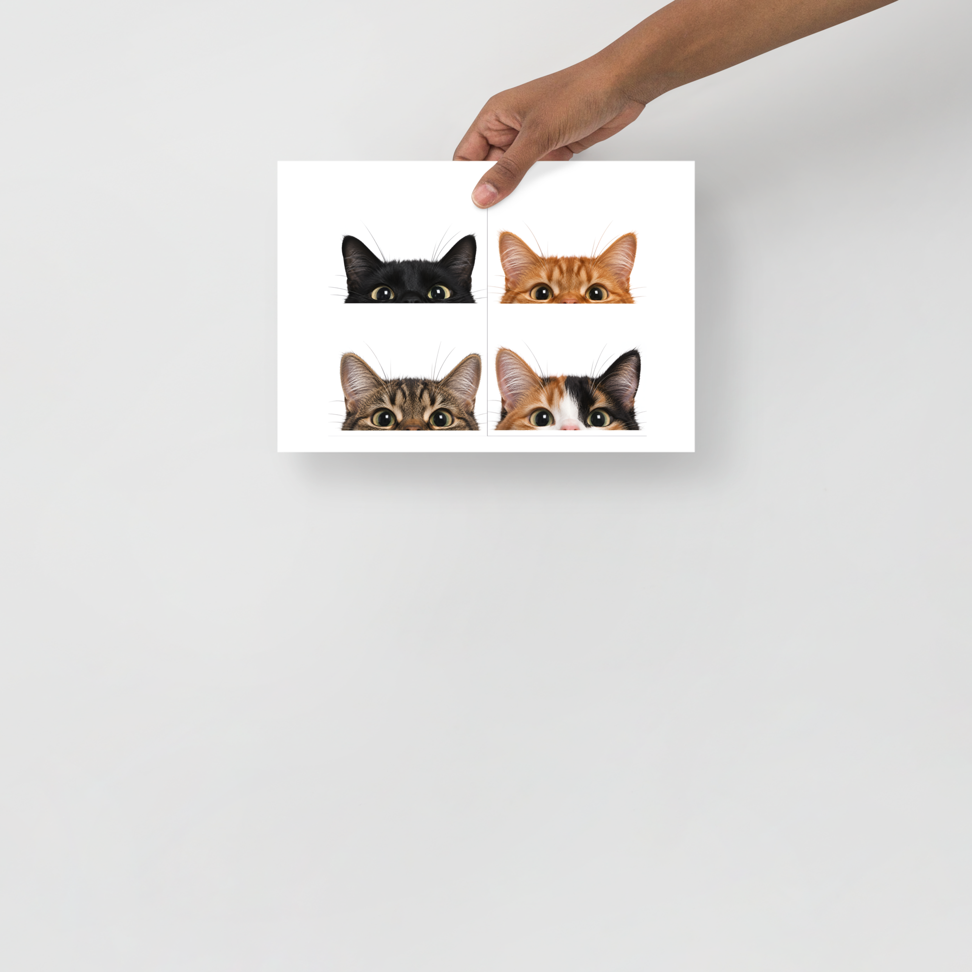 Poster con gatti